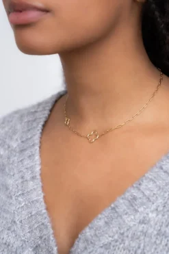Collier à Maillons Avec Trèfles