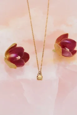 Collier Avec Cadenas