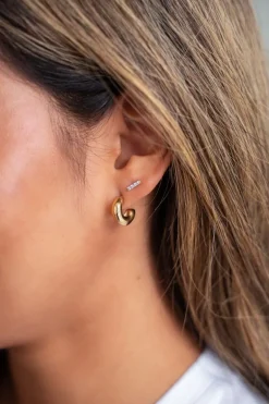 Puces D'oreilles à Strass