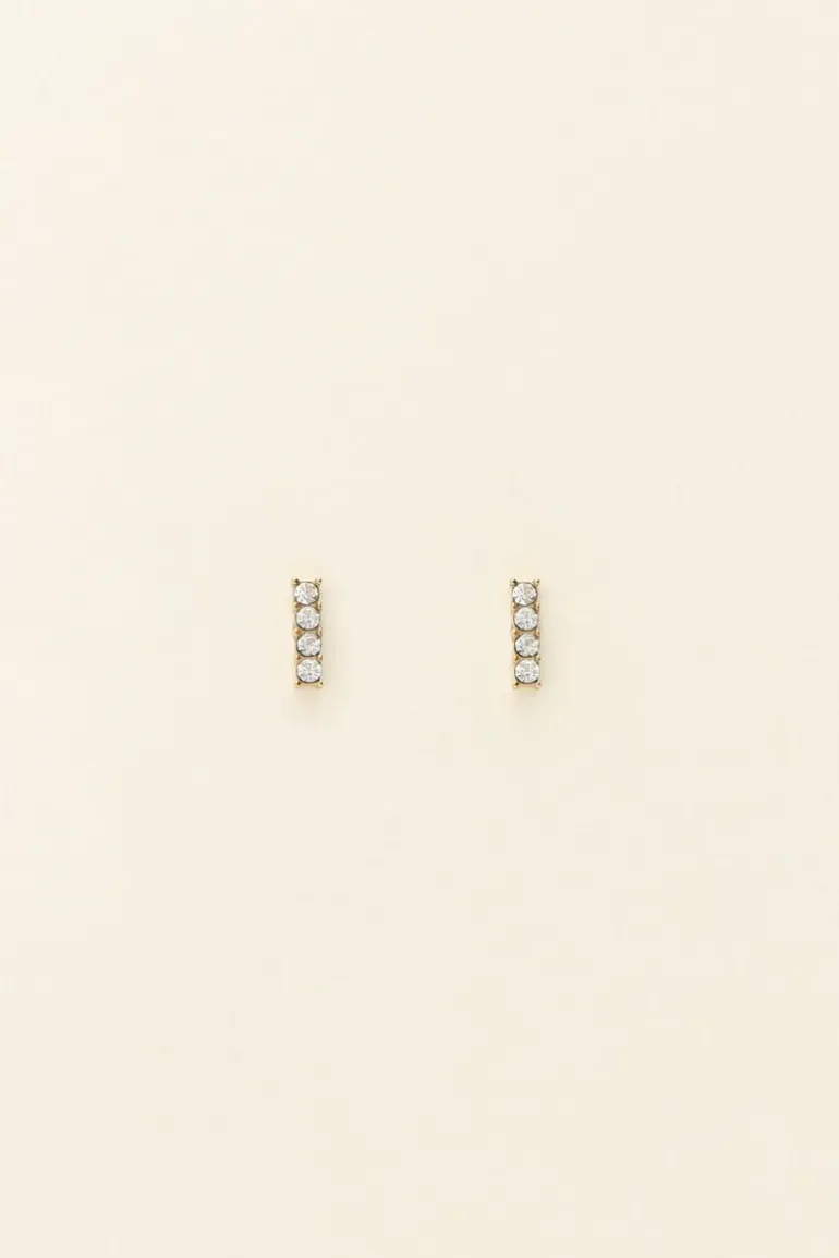 Puces D'oreilles à Strass