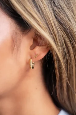 Puces D'oreilles Barres