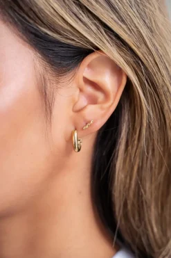Puces D'oreilles Twist