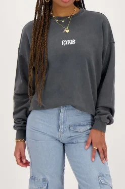 Sweat Gris Paris Fleuri