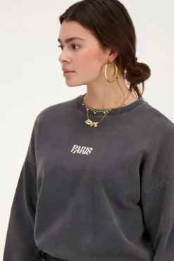 Sweat Gris Paris Fleuri