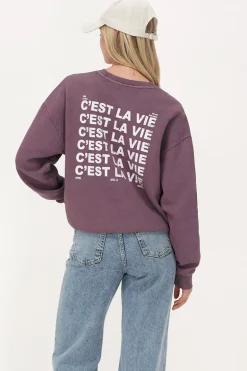 Sweat Violet 