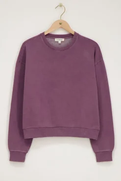 Sweat Violet 