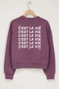 Sweat Violet 