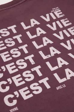 Sweat Violet 
