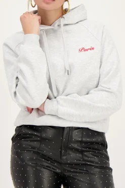 Sweat-shirt Gris Paris City